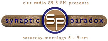 Synaptic Paradox header
